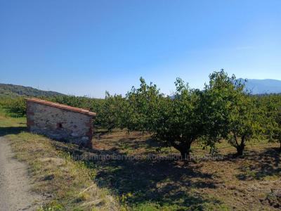For sale Ceret 7121 m2 Pyrenees orientales (66400) photo 2