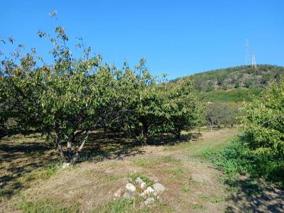 For sale Ceret 7121 m2 Pyrenees orientales (66400) photo 3