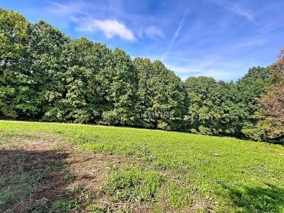 For sale Ambazac 1171 m2 Haute vienne (87240) photo 0
