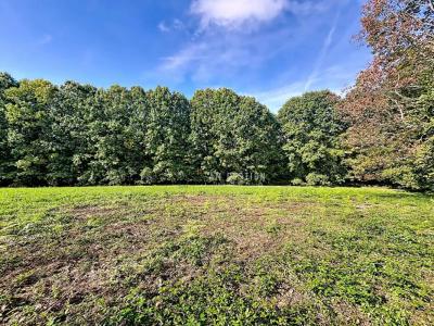 For sale Ambazac 1171 m2 Haute vienne (87240) photo 1
