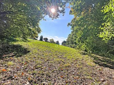 For sale Ambazac 1171 m2 Haute vienne (87240) photo 2