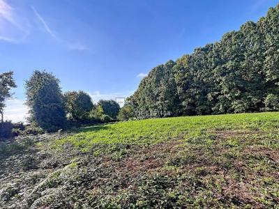 For sale Ambazac 1171 m2 Haute vienne (87240) photo 3