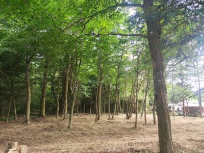 For sale Ludon-medoc 600 m2 Gironde (33290) photo 0