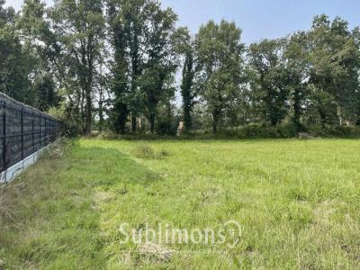 Acheter Terrain 832 m2 Plescop