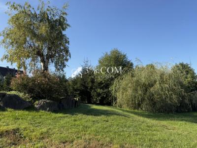For sale Steinbourg 6 rooms 175 m2 Bas rhin (67790) photo 2