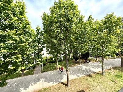 For sale Grande-motte 4 rooms 97 m2 Herault (34280) photo 0