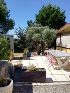 Acheter Maison Montagnac 559440 euros