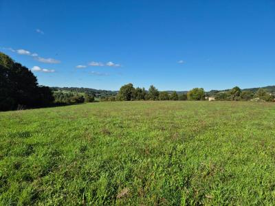 Annonce Vente Terrain Saint-hilaire-peyroux 19