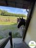 For sale House Authieux-sur-calonne  40 m2 2 pieces