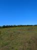 For sale Land Savigneux 