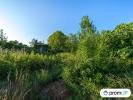 For sale Land Clairac  11000 m2