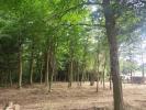For sale Land Ludon-medoc  600 m2
