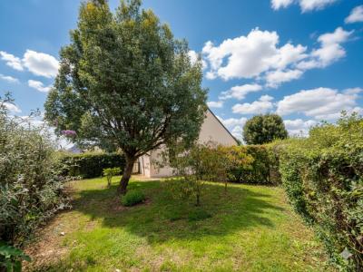 Annonce Vente 3 pices Maison Durtal 49