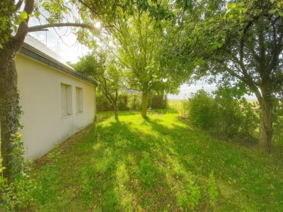 Annonce Vente 3 pices Maison Louerre 49