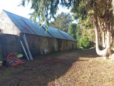 Annonce Vente Maison Cleguer 56
