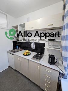 Annonce Location Appartement Lyon-7eme-arrondissement 69