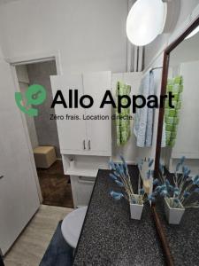 Louer Appartement Lyon-7eme-arrondissement 560 euros