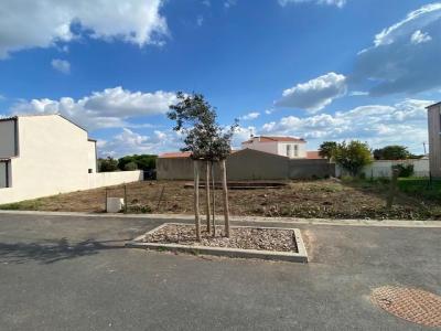 Acheter Terrain 349 m2 Chateau-d'olonne