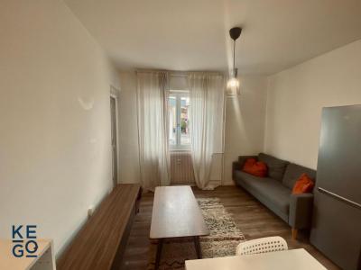 Louer Appartement 39 m2 Schiltigheim