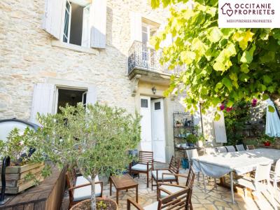 For sale Badens 12 rooms 315 m2 Aude (11800) photo 2