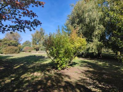 Annonce Vente Terrain Faleyras 33