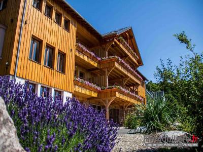 Annonce Vente 25 pices Maison Aubure 68