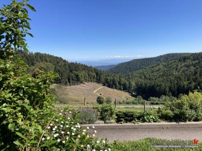 Acheter Appartement Aubure Haut rhin