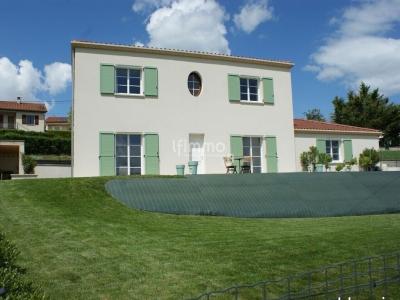 Annonce Vente Prestige Saint-martin-la-plaine 42