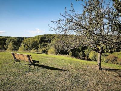 For sale Vazerac 10 rooms 255 m2 Tarn et garonne (82220) photo 0
