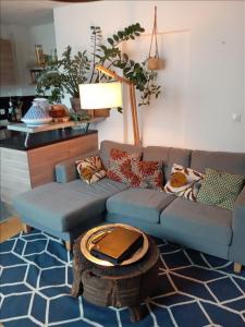 Louer Appartement 43 m2 Paris-13eme-arrondissement