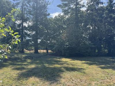 Annonce Vente Terrain Landaul 56