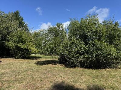 Acheter Terrain 700 m2 Landaul