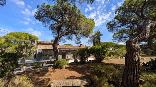 Annonce Vente 8 pices Maison Puget-sur-argens 83