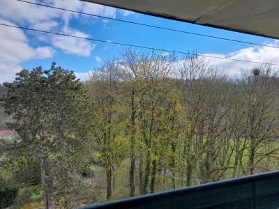 For rent Mirecourt 4 rooms 78 m2 Vosges (88500) photo 1