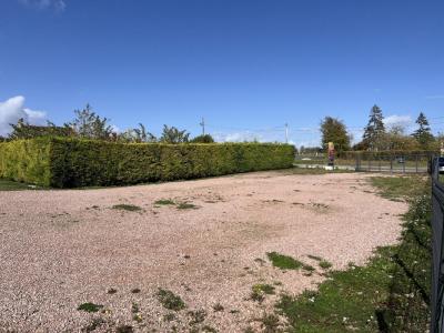 Annonce Location Commerce Argentan 61