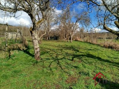 Acheter Maison 50 m2 Fayl-billot