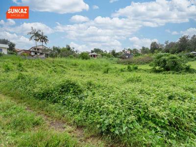 For sale Tampon 572 m2 Reunion (97430) photo 3