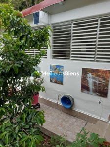 Louer Appartement 60 m2 Abymes