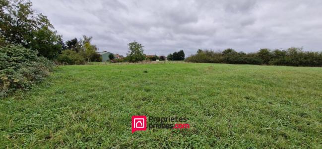 Acheter Terrain 5694 m2 Sorbey