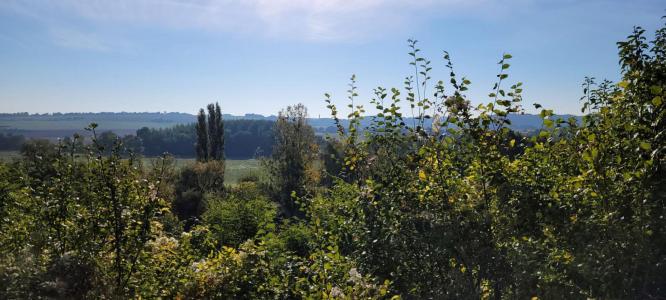Acheter Terrain Roches-l'eveque Loir et cher