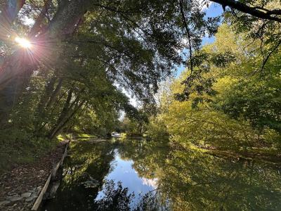 Acheter Maison Chalette-sur-loing Loiret
