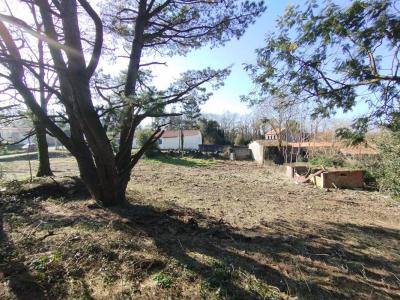 Annonce Vente Terrain Champtoceaux 49