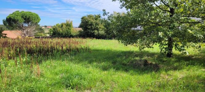 Annonce Vente Terrain Vendome 41