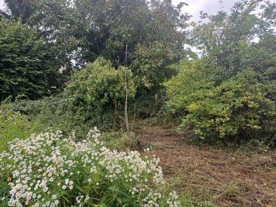 Acheter Immeuble 176 m2 Noyon