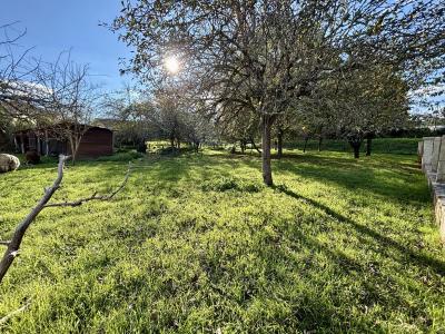 Annonce Vente Terrain Bazas 33