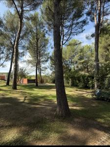 Annonce Vente Terrain Ventabren 13