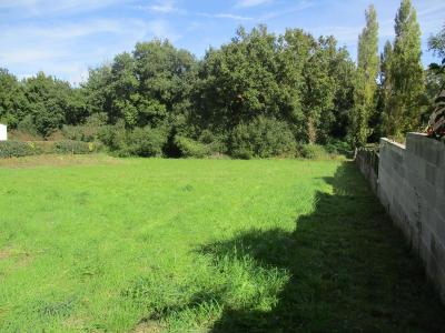 For sale 2348 m2 Vendee (85440) photo 0