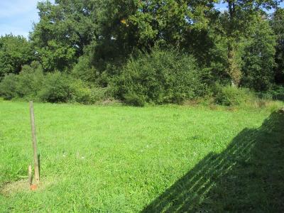 Annonce Vente Terrain  85