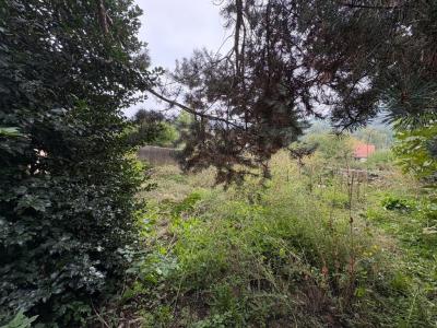 Annonce Vente Appartement Fouillouse 42