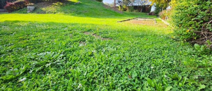 Annonce Vente Terrain Reignier 74